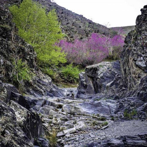 Ecotourism Destinations in Iran: Arghavan Gorge, Ilam