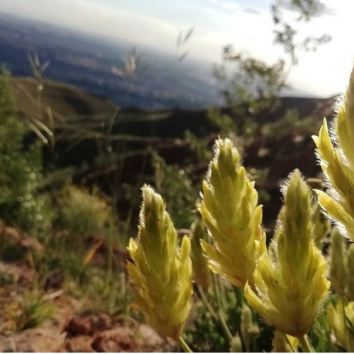 एयनाली पर्वत: अजरबैजान के दिल में कुदरती सुंदरता