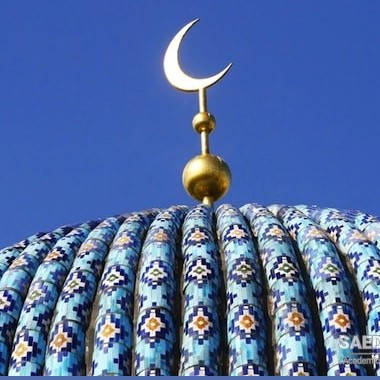 फारस और इस्लामी संस्कृति: इस्लाम के सांस्कृतिक जीवन का फारसी हिस्सा