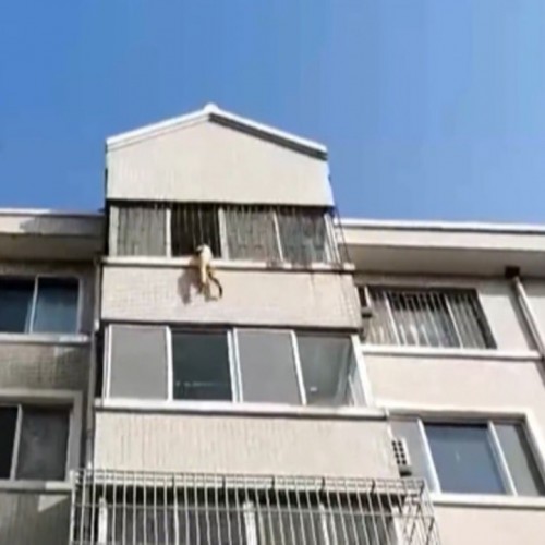 (فیلم) آویزان شدن کودک پنج ساله از پنجره در زمان تنها ماندن در خانه