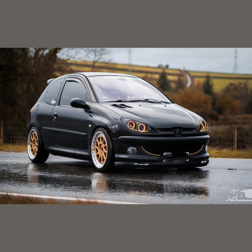 (فیلم) اسلحه کشی به سبک فیلم‌های هالیوودی هنگام سرقت خودروی ۲۰۶