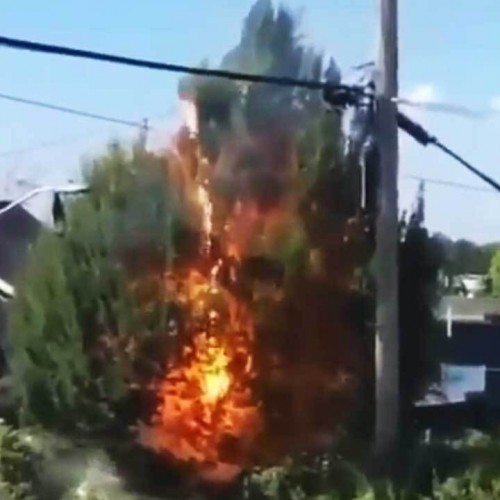 (فیلم) آتش گرفتن درخت بر اثر برخورد با خطوط انتقال برق