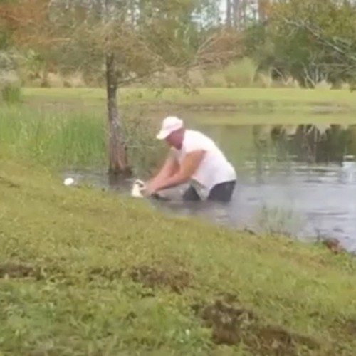 (فیلم) بیرون کشیدن سگ دست آموز از دهان تمساح