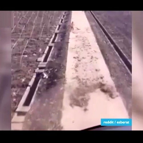 (فیلم) کمک جالب خلبان بالگرد به یک رفتگر!