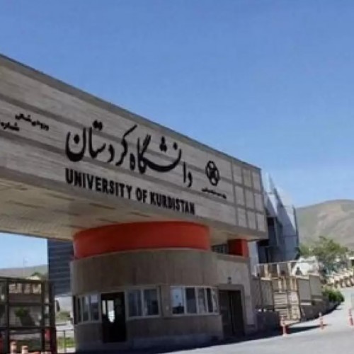 (فیلم) لحظه به دام افتادن دانشجونماهای اغتشاشگر در دانشگاه کردستان