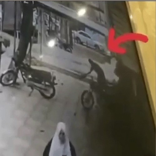 (فیلم) لحظه حمله گرگ وحشی به یک شهروند در کرمانشاه