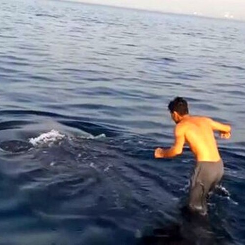 (فیلم) نهنگ سواری نوجوان ایرانی در خلیج فارس