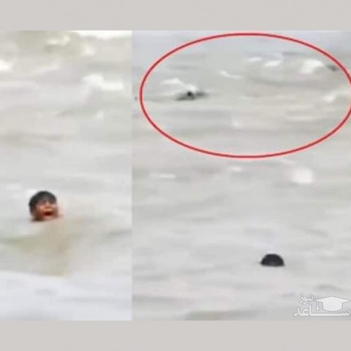 (فیلم) نجات یک کودک از غرق شدن در رودخانه پر از تمساح