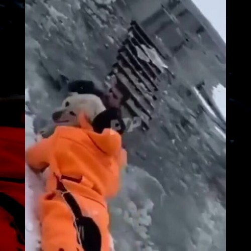 (فیلم) نجات یک سگ از وسط دریاچه یخ زده