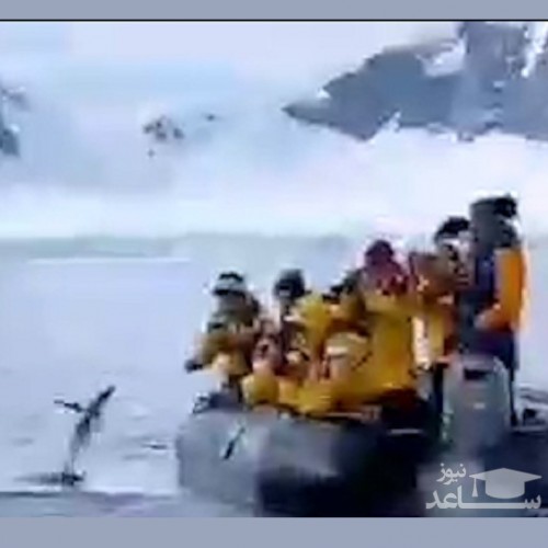 (فیلم) پنگوئنی که از ترس نهنگ قاتل به یک قایق پناهنده برد!