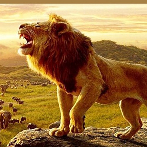 (فیلم) سلطان جنگل به دست بوسی سگ گله رفت!