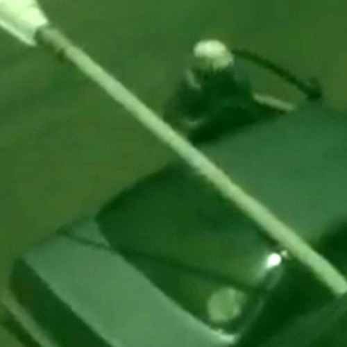 (فیلم) سرقت مسلحانه از طلافروشی در سرآسیاب ملارد (تهران)