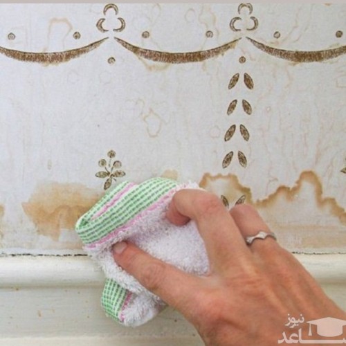 (فیلم) تمیز کردن نقاشی های دیواری در چند دقیقه