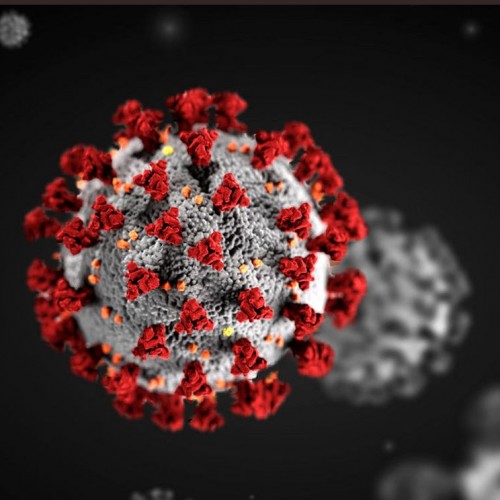 (فیلم) واکسن کرونا، پاییز وارد ایران می‌شود