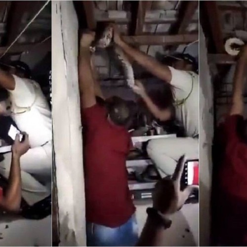 (فیلم) وحشت زن هندی با دیدن مار غول پیکر در سقف خانه!