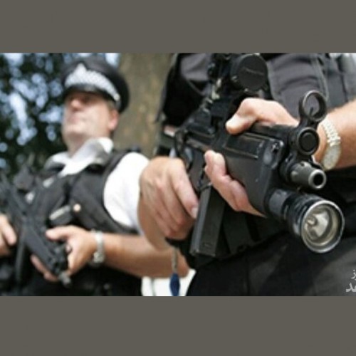 (فیلم) وقتی یک گربه، رئیس پلیس می‌شود!