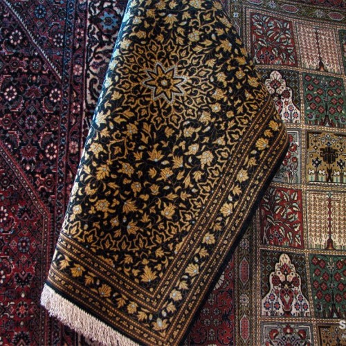 Fly on Persian Carpets and Rugs
