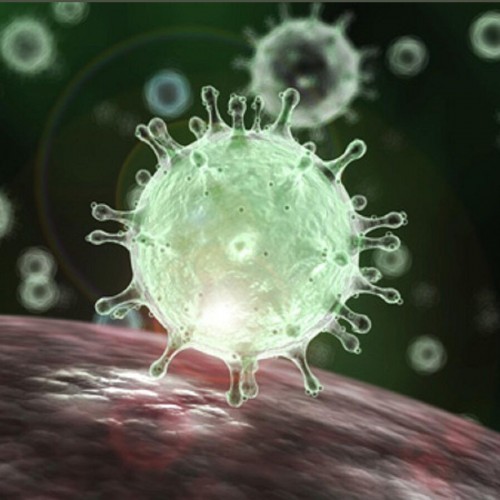 غیرفعال‌کردن ویروس کرونا ظرف یک‌ساعت با پوشش جدید