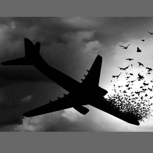 گلباران محل سقوط هواپیمای اوکراینی