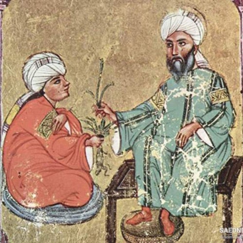 Hakim Esmail Jorjani: Persian physician and jurist