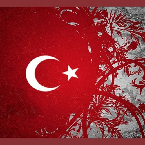 حالت های فعل مجهول در زبان ترکیه را بدانید