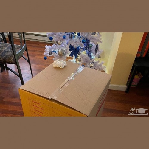 هدیه کریسمس عجیبی که یک دختر را شوکه کرد!