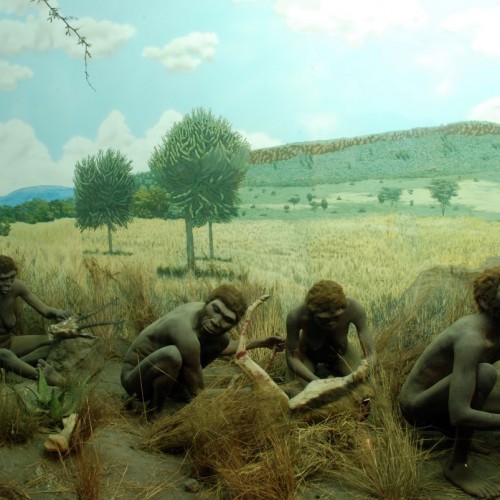 Homo Habilis and Stone Crafting: Early Sense of Technology in Human Community