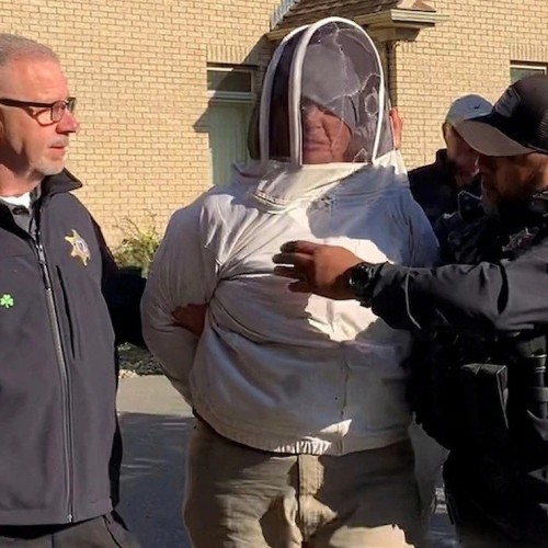 (فیلم) یک زن زنبور‌های عسل را به جان پلیس‌ها انداخت!
