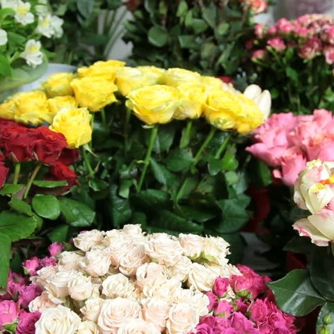 Iranian Flower Growers Export to Europe