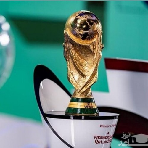 جام جهانی حق دراگان اسکوچیچ است