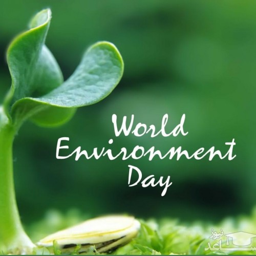 جذاب ترین متن تبریک به مناسبت روز جهانی محیط زیست
