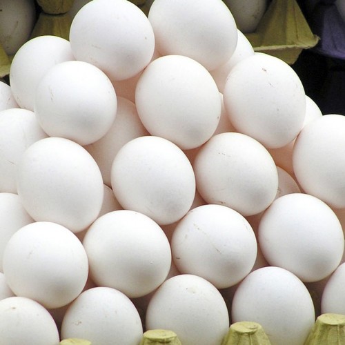 کاریکاتور/ ببينيد قیمت تخم‌مرغ در بازار چه كرده!