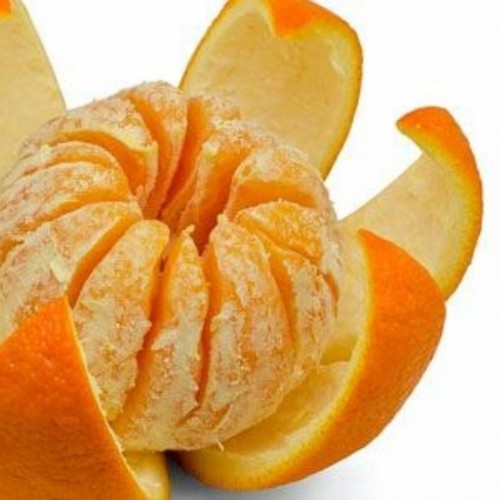 خواص لایه ی سفید زیر پوست نارنگی وپرتقال