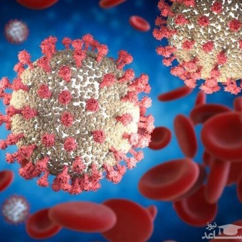 کشف ۱۸ جهش جدید در ویروس کرونا
