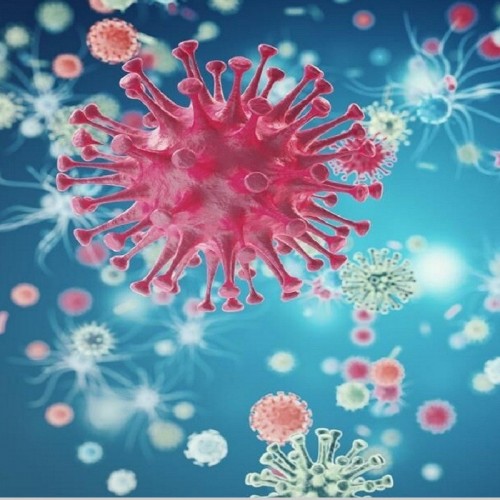 کشف روشی جدید برای مقابله با کرونا