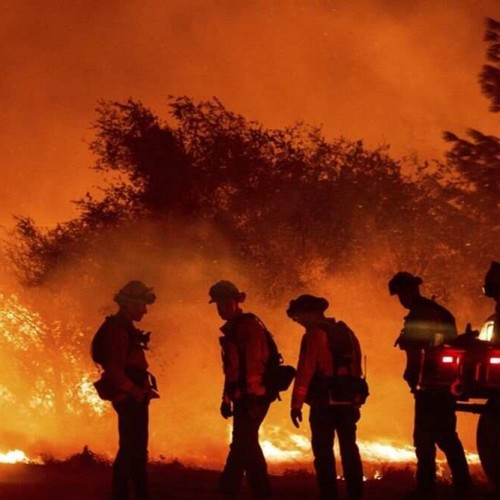 آتش سوزی در کالیفرنیا: عواقب گرمایش جهانی