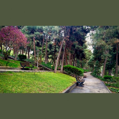 معرفی بهترین پارک های جنگلی تهران