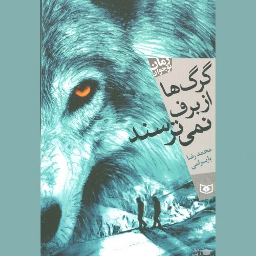 معرفی کتاب گرگ ها از برف نمی ترسند اثر محمدرضا بایرامی