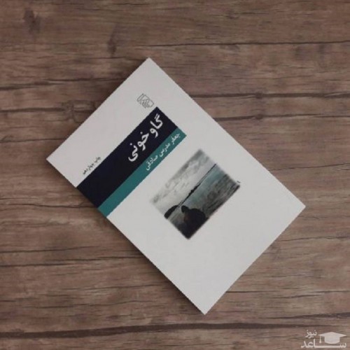 معرفی رمان گاو خونی