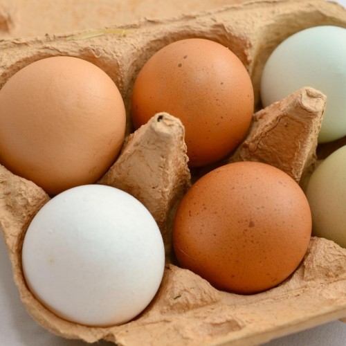 مهمترین خواص تخم مرغ آب پز چیست؟