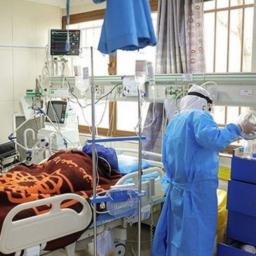 مجوز تولید موقت برای ۲ داروی گیاهی موثر در بهبود علائم کرونا