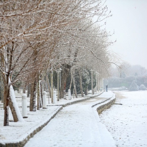 ۱۲ منظره زمستانی واقعی که به رویا شبیه هستند