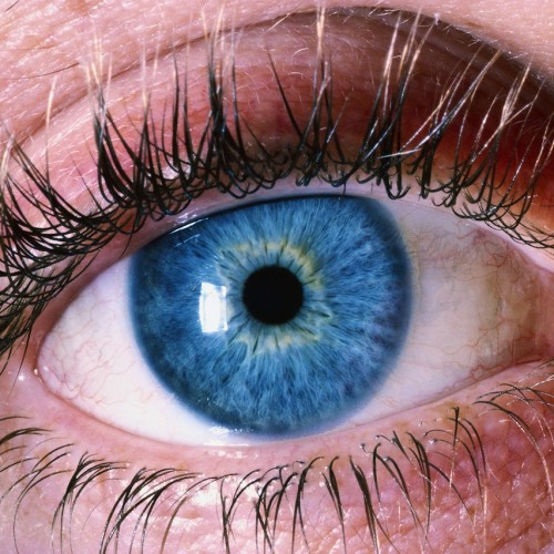 موارد منع مصرف و تداخل دارویی پنی سیلامین