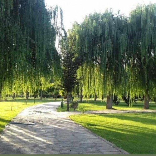 معرفی جاذبه های پارک جنگلی توسکای تهران