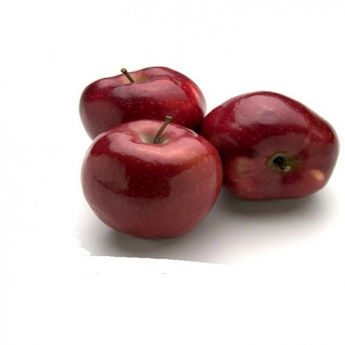 موثرترین روش پرورش و نگهداری از درخت سیب واین سپ