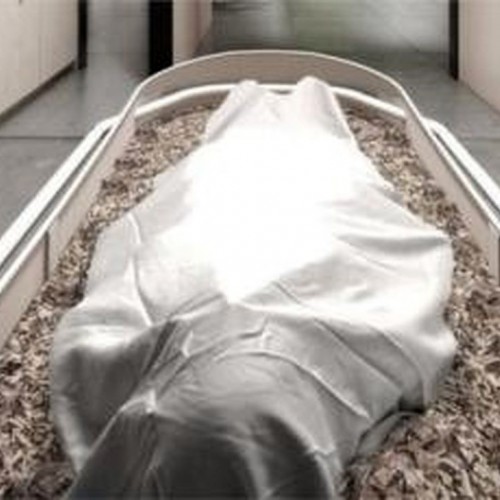 نوعروس 16 ساله در مشهد به قتل رسید / تازه داماد فراری شد