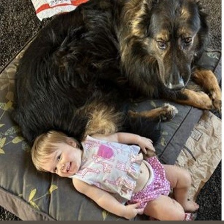 رابطه عجیب یک نوزاد با سگ ها/ دختری که مثل سگ راه می‌رود و از غذای آن ها می خورد +عکس