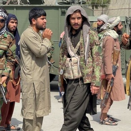 نسل کشی طالبان در افغانستان