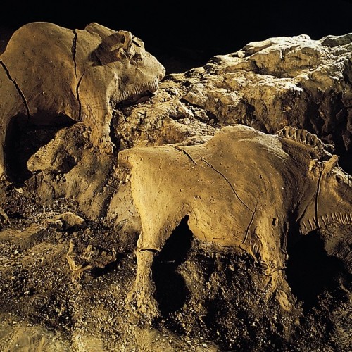 Prehistoric Life in Ancient Persia: Stone Age