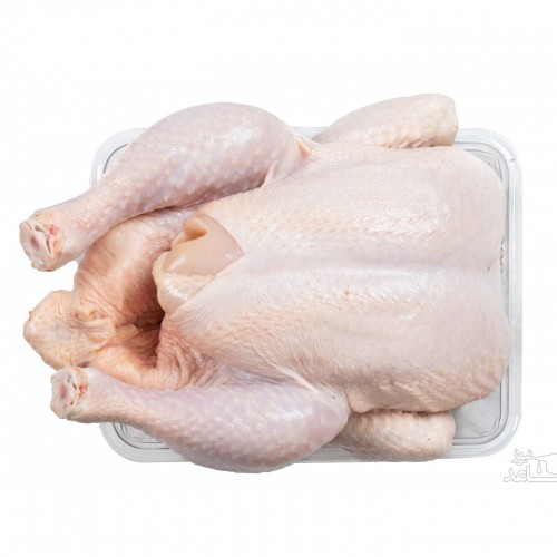 قیمت هر کیلو مرغ در بازار امروز چقدر است؟